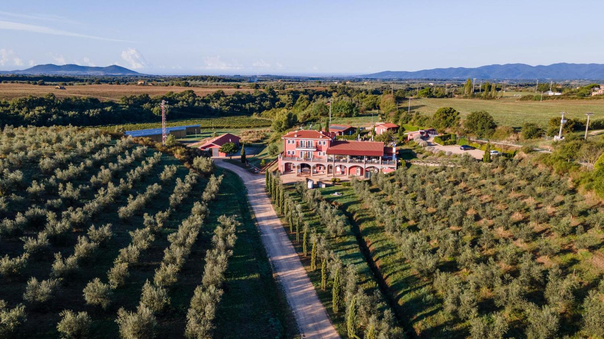 Il Podere Di Marfisa Farnese Eksteriør billede