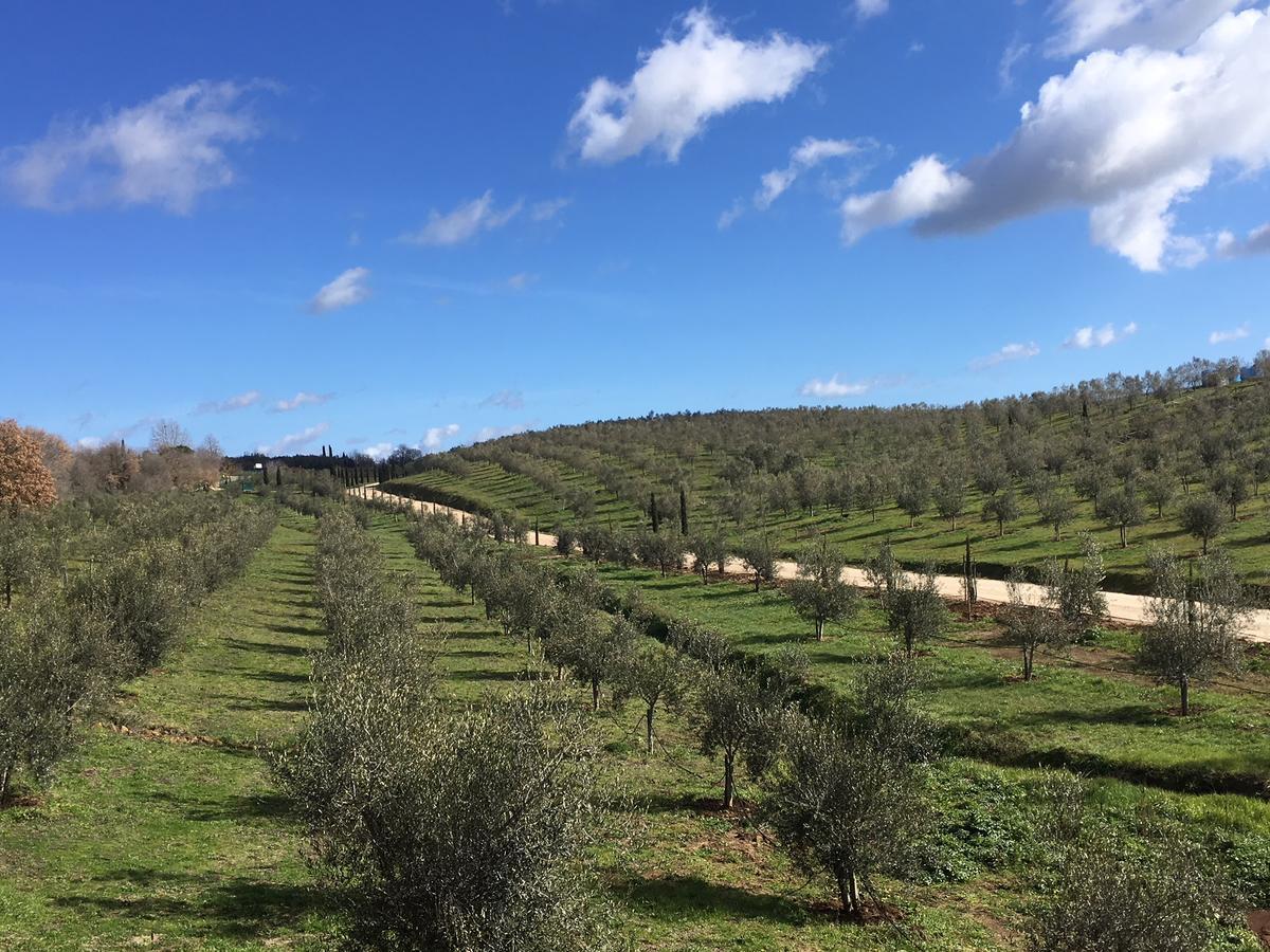 Il Podere Di Marfisa Farnese Eksteriør billede